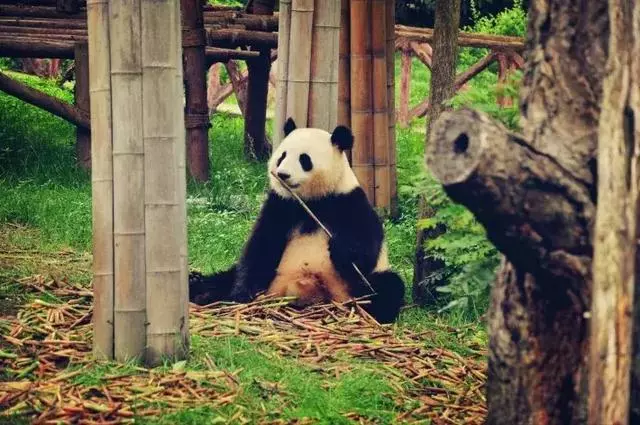 最適合女生旅行的9個地方,爭取30歲前都去一次!