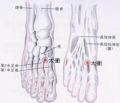 很多人都沒發現!!「手指」突然出現這種 小水泡…竟是大病前兆!!千萬要小心了…