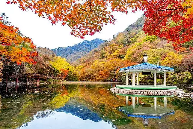 韓國絕不能錯過的賞楓美景,秋天來了就是要讓妳的IG版面塞滿艷麗楓紅色!