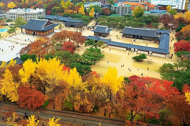 韓國絕不能錯過的賞楓美景,秋天來了就是要讓妳的IG版面塞滿艷麗楓紅色!