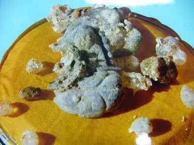 94歲高僧圓寂後,驚現觀音形象舍利子震撼全球!