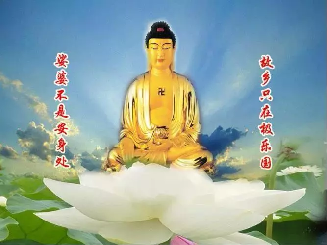 你能這樣念上一個星期試試看,肯定比你過去念十年還有效!
