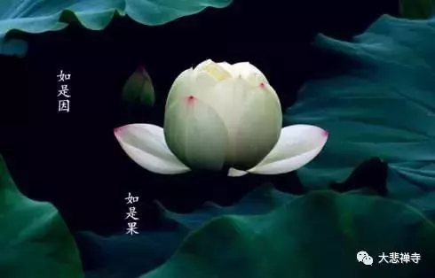 若有人看不起你、輕視你,這樣做,能保護自己!
