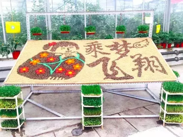 種菜、種菜、種菜!複雜的種菜模式,實際沒有想像的那麼困難