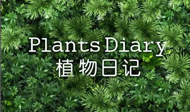 種菜、種菜、種菜!複雜的種菜模式,實際沒有想像的那麼困難