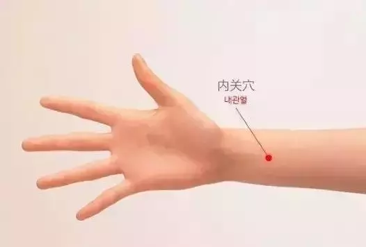 手上有一個「美人穴」,腿上有個「六味地黃丸」