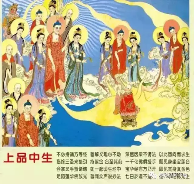 往生極樂世界九品蓮位 圖文詳解,過目增福,功德無量!