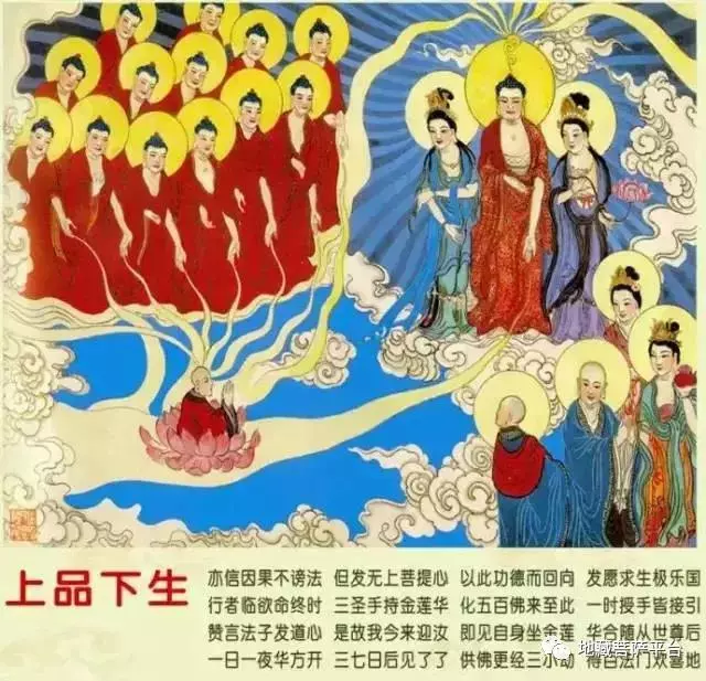 往生極樂世界九品蓮位 圖文詳解,過目增福,功德無量!