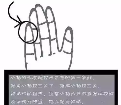 按摩小指=28味藥!每天50下
