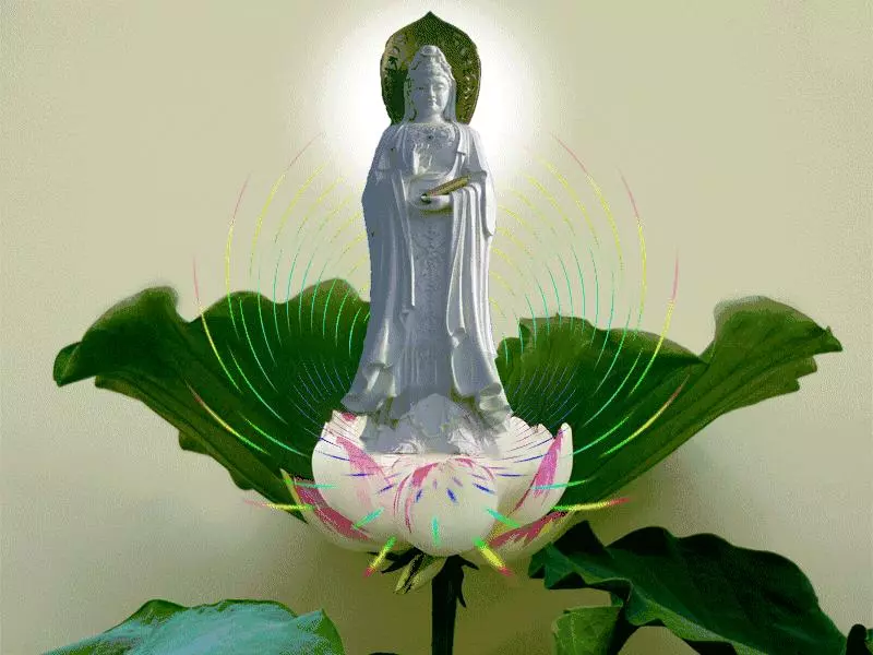 觀世音菩薩下凡,化身老奶奶點化世人,點醒了無數人!