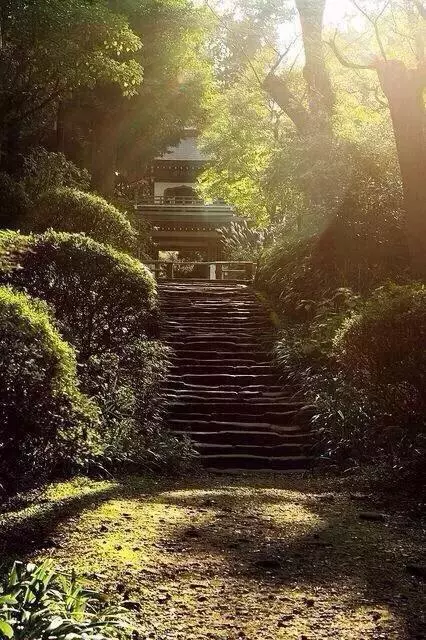 佛教界最牛的10大智慧佛語,你悟透了多少?