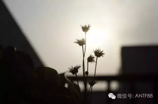 因果輪回 真實不虛 上海發生的一件奇聞