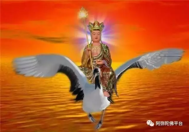 凡這種夢境,都是過去父母眷屬,在惡趣未出離