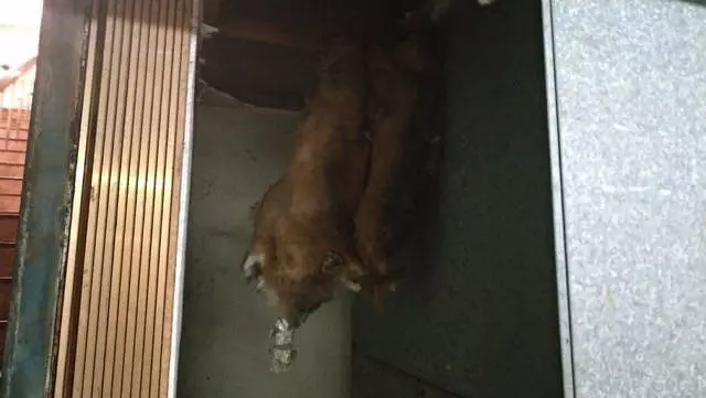 在地人都不敢靠近...台南站前超神祕「鐵道飯店」內部長怎樣?他實地探勘po文被讚:真勇者!