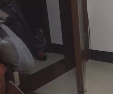 被欺負的狸花貓寶貝!拖著毯子離開,貓:才不在你這裡做個委屈鬼