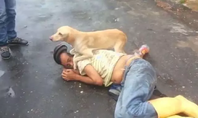 醉漢在馬路上睡了一晚,狗狗一直在旁邊守護,不讓任何人靠近