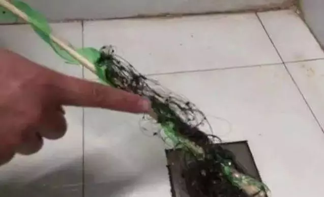 洗菜池堵了,別再花錢請人疏通了,只需一個塑料瓶,30秒輕鬆疏通 - YouTube