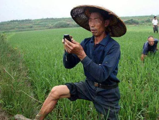 母親去世十八年後, 卻出現在我的婚禮上, 父親才哭著說出實情