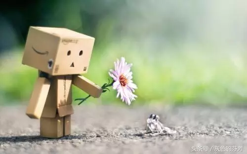 我欲將積攢了十年的私房錢給弟弟,取錢時卻發現卡里一分錢也沒有
