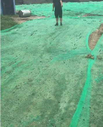 準新郎制止偷倒垃圾被殺害,兇手叫囂:打死算我的