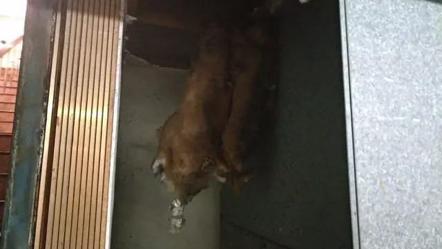 在地人都不敢靠近...台南站前超神祕「鐵道飯店」內部長怎樣?他實地探勘po文被贊:真勇者
