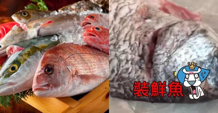她爽買到「新鮮魚」一回家秒穿幫...惡魚販異想天開「裝鮮」!網:怎麼可能沒發現啦(影)