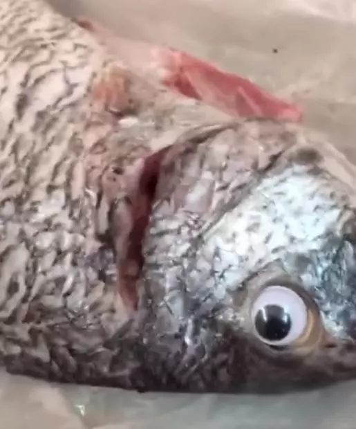 她爽買到「新鮮魚」一回家秒穿幫...惡魚販異想天開「裝鮮」!網:怎麼可能沒發現啦(影)