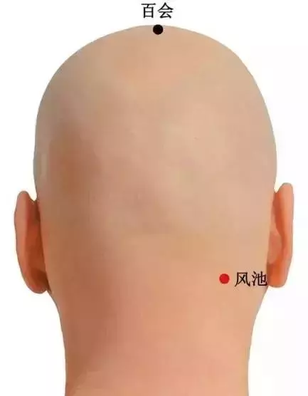 史上最全穴位合集,快速學會如何自治!