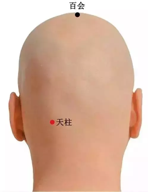 史上最全穴位合集,快速學會如何自治!