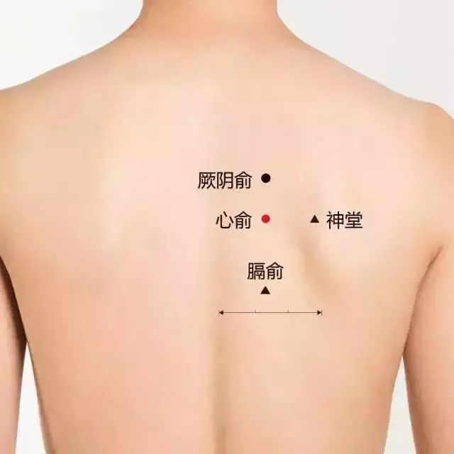 史上最全穴位合集,快速學會如何自治!