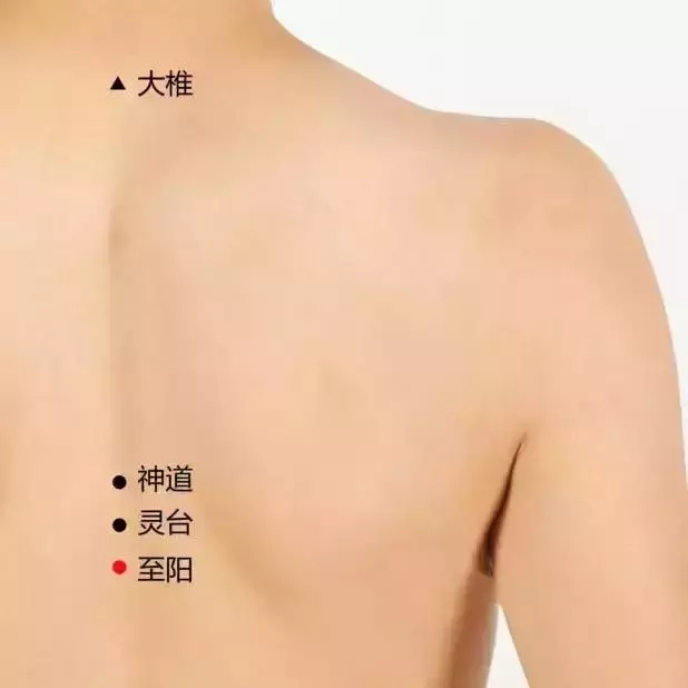 史上最全穴位合集,快速學會如何自治!