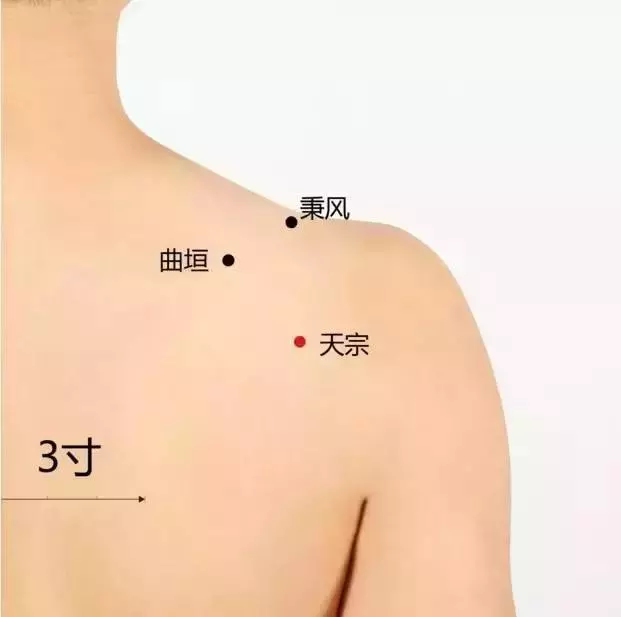 史上最全穴位合集,快速學會如何自治!
