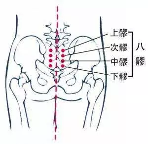 史上最全穴位合集,快速學會如何自治!