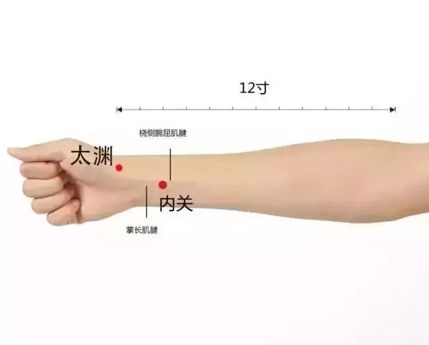 史上最全穴位合集,快速學會如何自治!