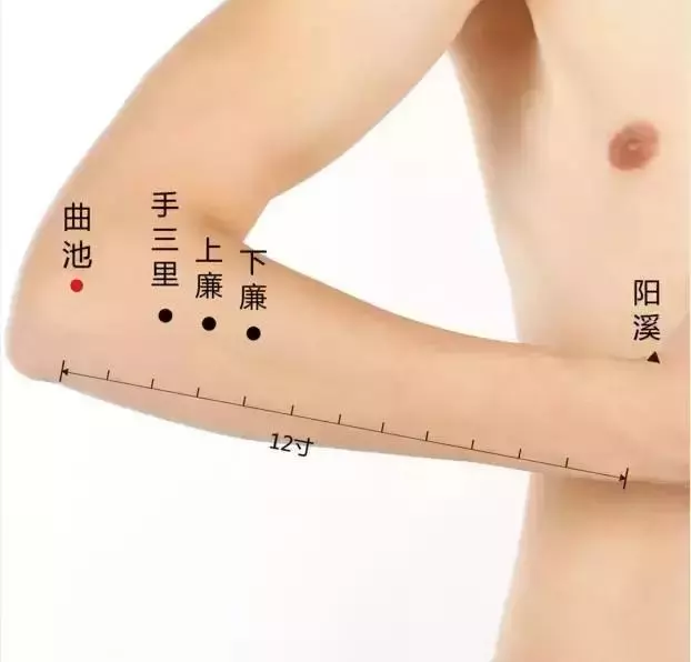 史上最全穴位合集,快速學會如何自治!
