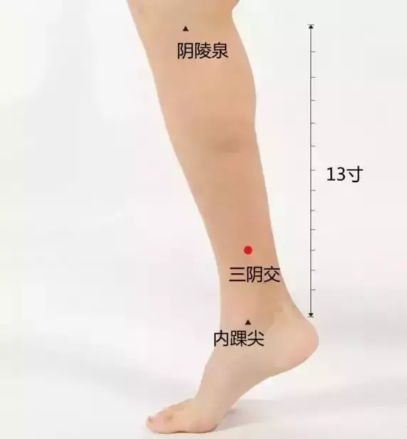 史上最全穴位合集,快速學會如何自治!