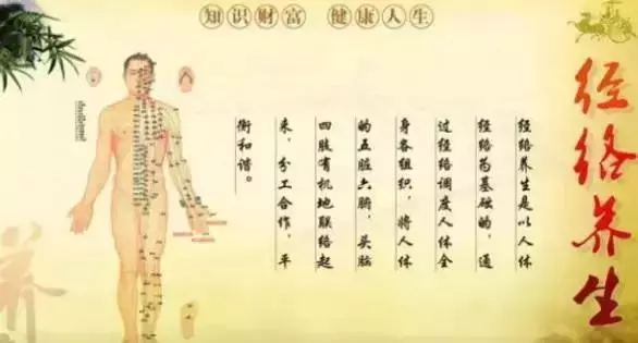 伸筋拔骨,伸開經絡強健骨骼拔走老病根,三式而已!