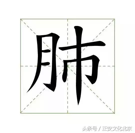 刮痧怎麼就能讓人變美了呢?