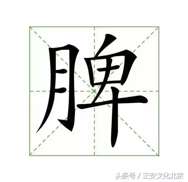 刮痧怎麼就能讓人變美了呢?