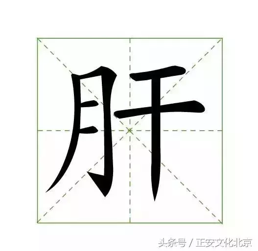 刮痧怎麼就能讓人變美了呢?