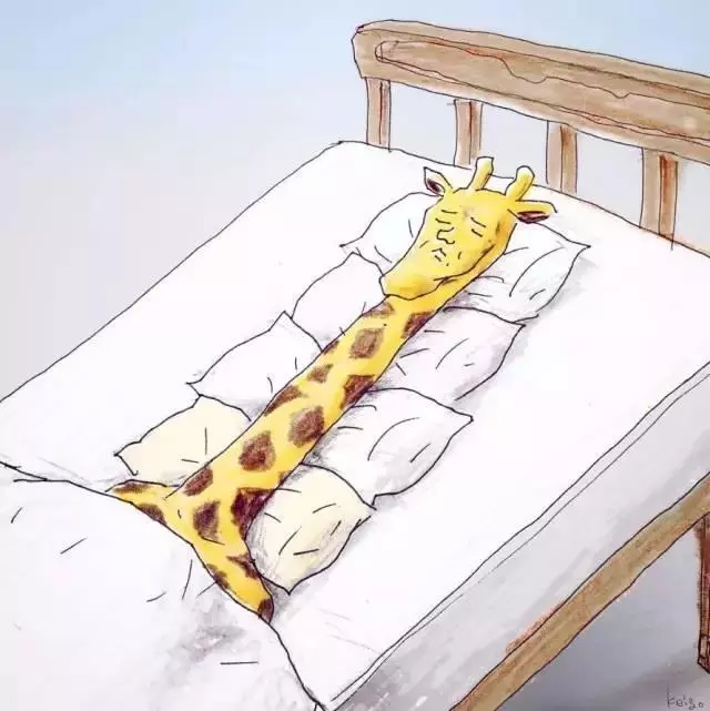 10張畫風超詭異的簡易插畫,只有「笑點奇怪的人」才看得懂!#5我明明沒舉手QQ.....