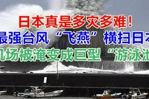 拖格羅釐猛撞轎車,毀不成形!司機當場死亡!RIP!