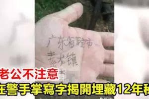 拖格羅釐猛撞轎車,毀不成形!司機當場死亡!RIP!