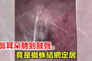 摩哆失控打滑被拋飛,騎士再遭車碾過!所幸撿回一命