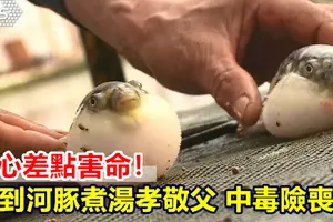摩哆失控打滑被拋飛,騎士再遭車碾過!所幸撿回一命