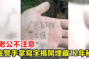 摩哆失控打滑被拋飛,騎士再遭車碾過!所幸撿回一命