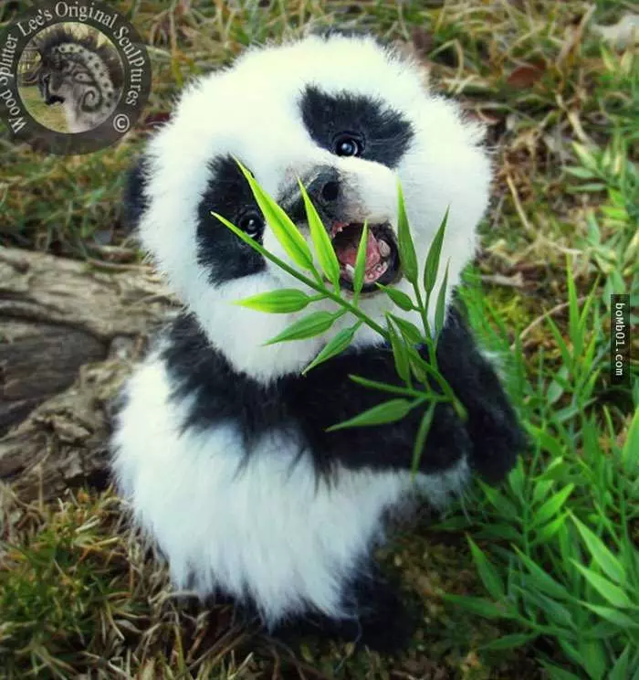 這些全新品種的小動物,看起來都非常可愛,但它們的真面具竟然是…