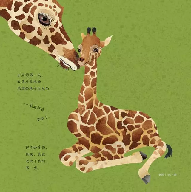 出生的第一天,整個世界都被我萌翻