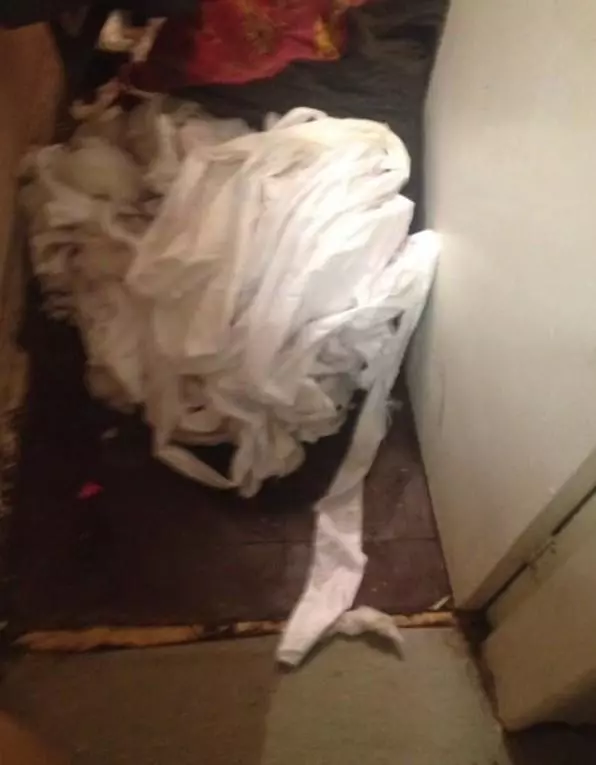 狗狗在媽媽面前被「寵物床」殺死,飼主幾乎崩潰:千萬不要買這種