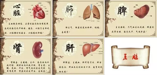 一飲一食一按,調養好五臟,防病少病痛,健康更長壽